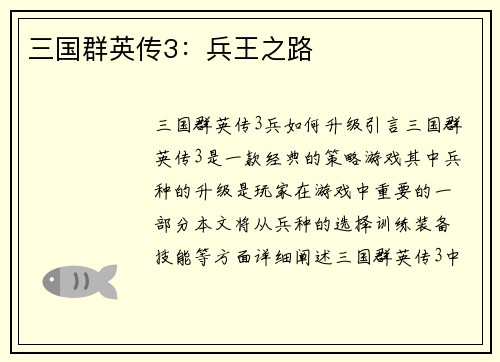 三国群英传3：兵王之路